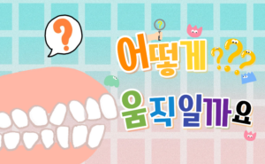 [치아교정] 치아는 어떻게 움직일까요? 교정의 원리와 뼈 변화 알아보기